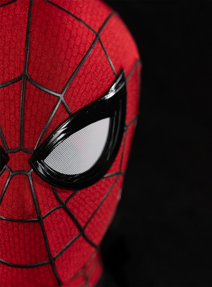 Spider-Man Brand New Day Mask