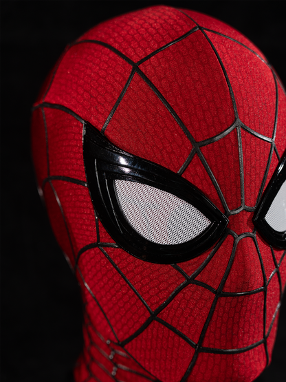 Spider-Man Brand New Day Mask